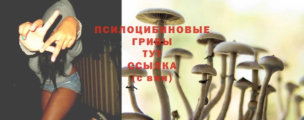 ПСИЛОЦИБИНОВЫЕ ГРИБЫ Кодинск