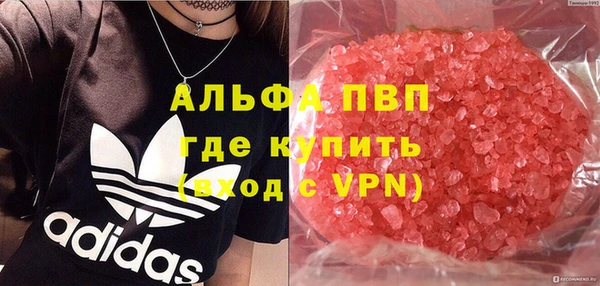 ПСИЛОЦИБИНОВЫЕ ГРИБЫ Кодинск