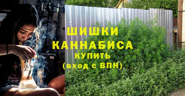 дживик Козловка