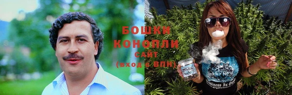 ПСИЛОЦИБИНОВЫЕ ГРИБЫ Кодинск