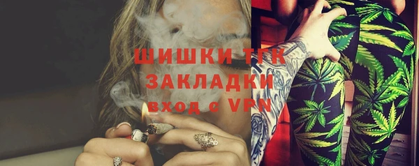 дживик Козловка