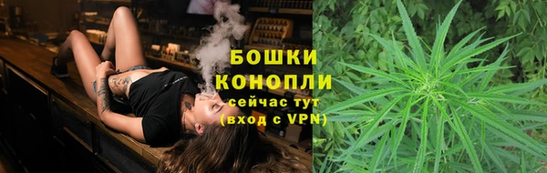 дживик Козловка