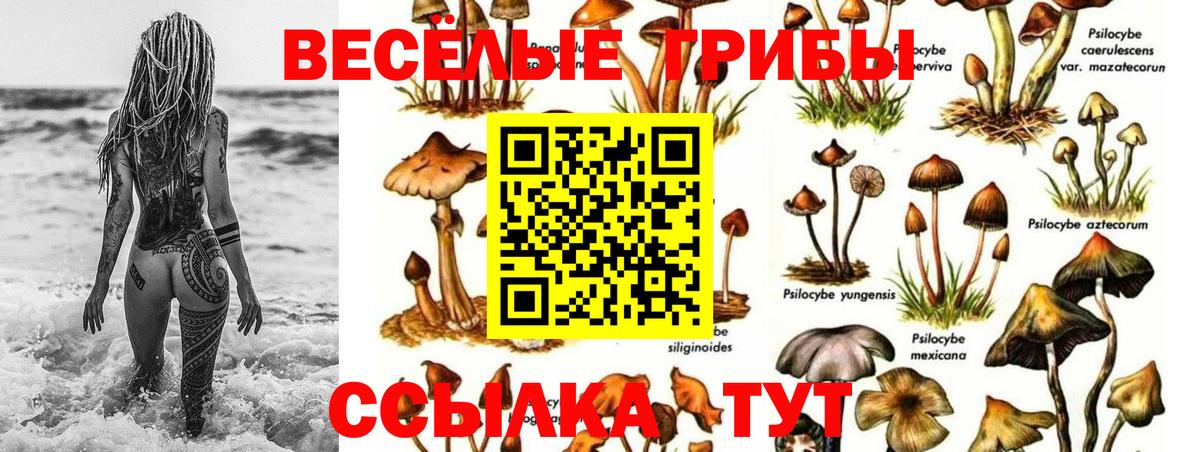 Псилоцибиновые грибы Psilocybine cubensis  Вход с VPN  Псилоцибиновые грибы MAGIC MUSHROOMS  Кашира 