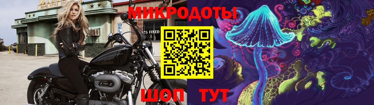 Псилоцибиновые грибы мицелий Кашира